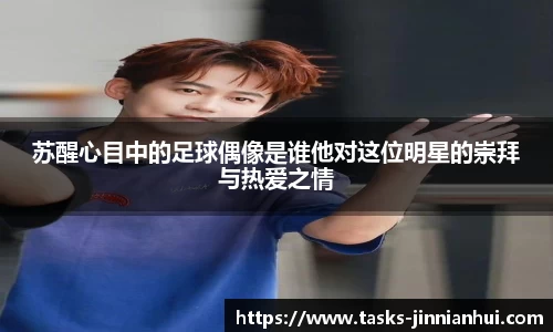 苏醒心目中的足球偶像是谁他对这位明星的崇拜与热爱之情