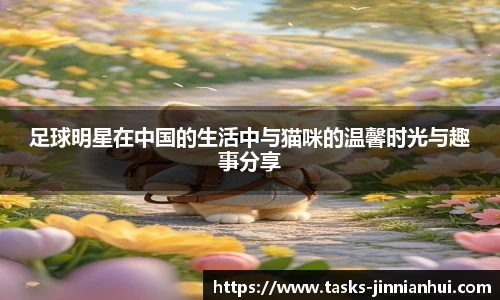 足球明星在中国的生活中与猫咪的温馨时光与趣事分享